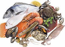 Seafood